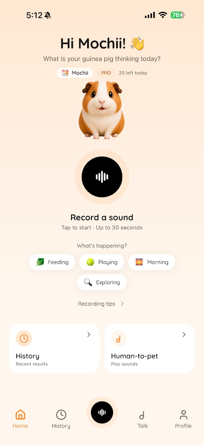 Screenshot of Guinea Pig Translator on iPhone